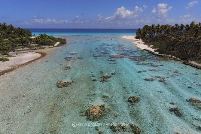 Blue Lagoon - PRIVATE ISLAND Pink sand beach and wildlife reserve - The local lunch on the motu