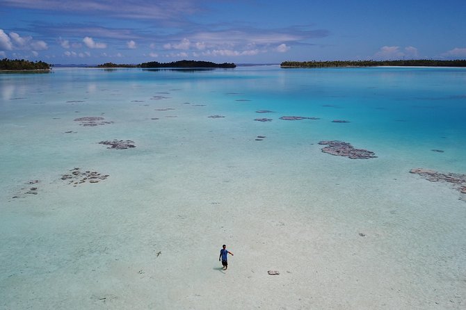 Blue lagoon private tour - The shark nursery at 10 a.m.