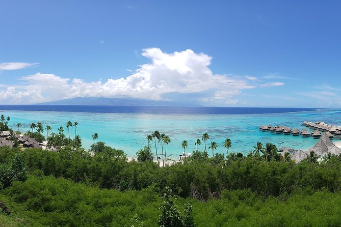 Blue Pearl Private Tour - Five things to know before you book