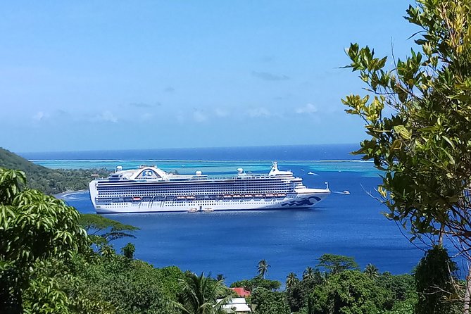 Blue Pearl Private Tour - Why a private Moorea tour can work so well