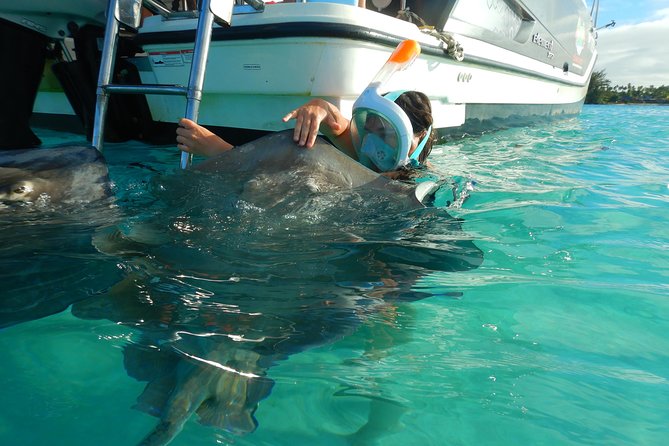 Boat tour 1/2 day Excursion in the lagoon of Moorea - Key points to know before you book