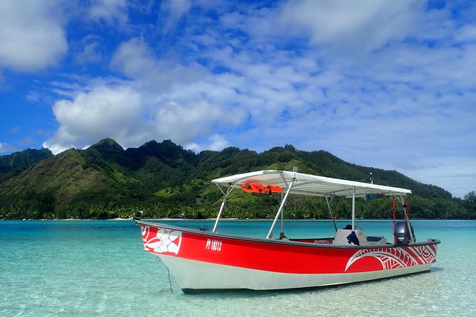 Boat tour 1/2 day Excursion in the lagoon of Moorea - What this Moorea lagoon tour is really like