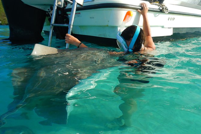 Boat tour 1/2 day Excursion in the lagoon of Moorea - Swimming near stingrays and black-tip sharks