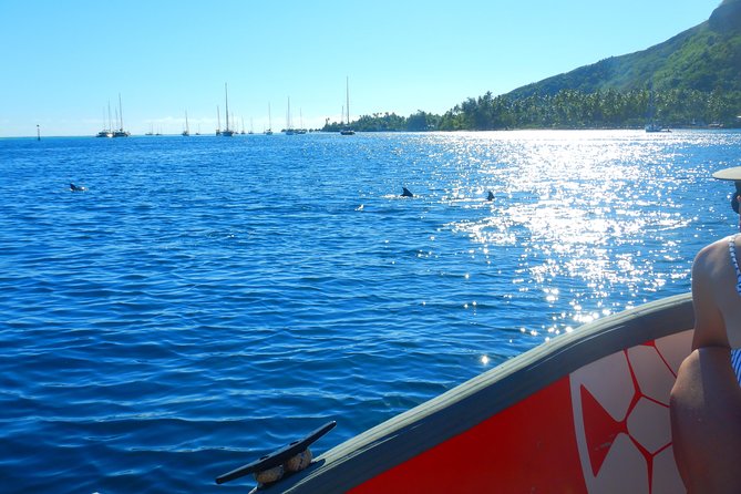 Boat tour 1/2 day Excursion in the lagoon of Moorea - Guides, safety, and the language question