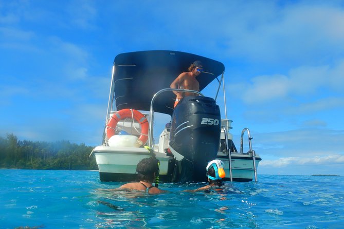Boat tour 1/2 day Excursion in the lagoon of Moorea - What is included, and what is not