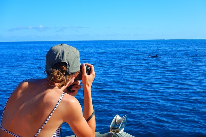 Boat tour 1/2 day Excursion in the lagoon of Moorea - Who will get the most from this outing