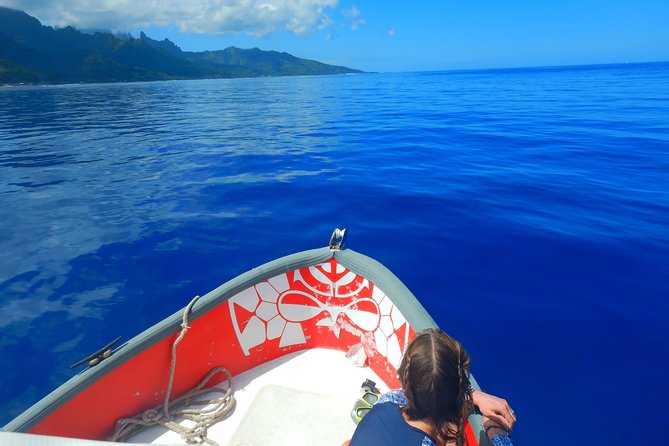 Boat tour 1/2 day Excursion in the lagoon of Moorea - Coral Garden snorkeling between Motu Tiahura