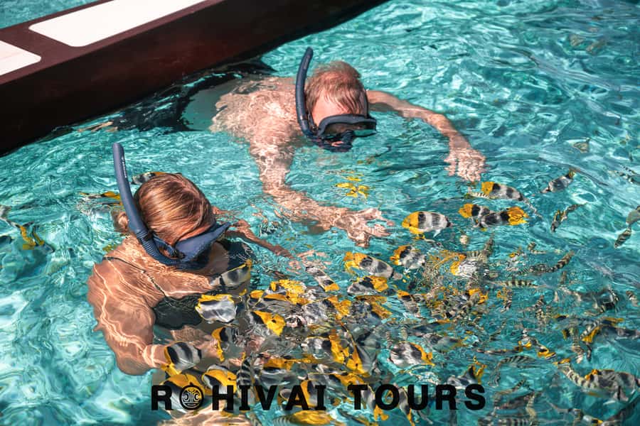 Bora Bora: 1/2 day lagoon safari - Shared tour - What This Bora Bora Boat Trip Actually Feels Like