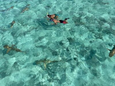 1/2 day lagoon safari – Shared tour