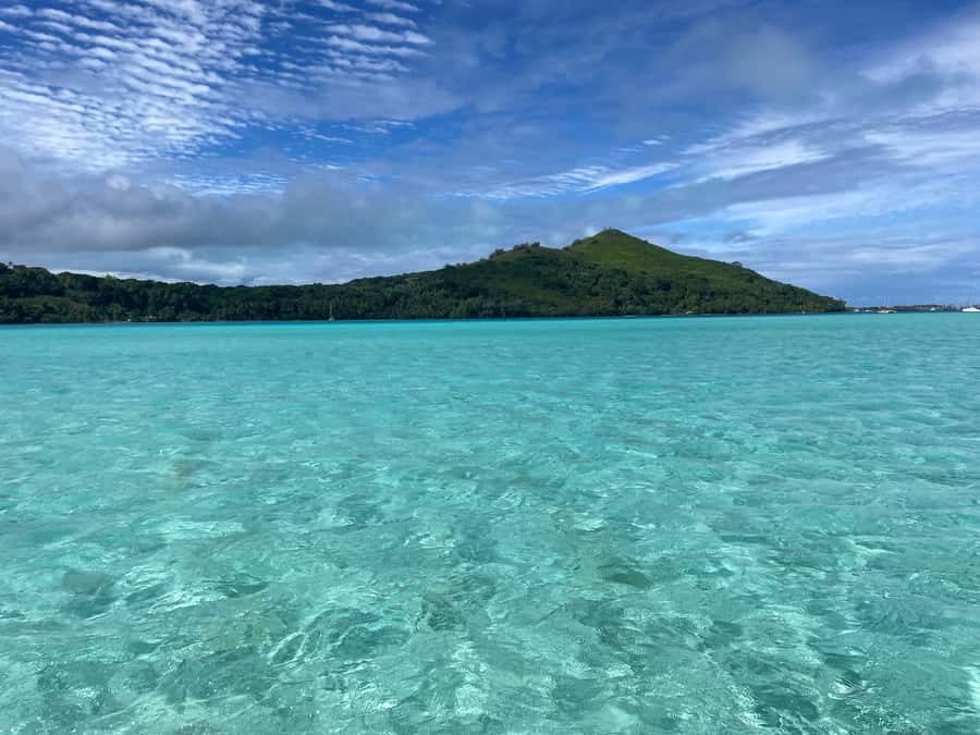 Bora Bora: 1/2 day lagoon safari - Shared tour - Who Will Enjoy This Lagoon Safari Most?