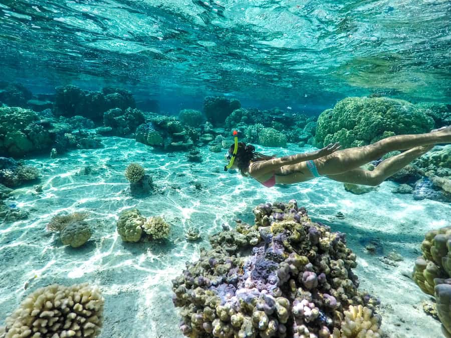 Bora Bora: 3.5-Hour Lagoon Boat Tour with Snorkeling - Why this lagoon trip is worth your morning