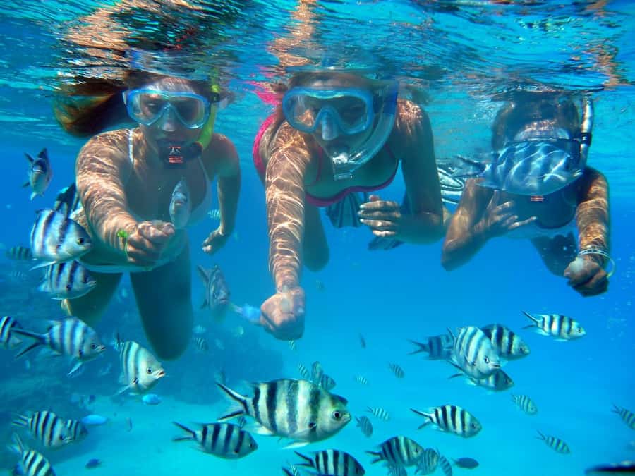 Bora Bora: 3.5-Hour Lagoon Boat Tour with Snorkeling - First stop: Bora Bora’s manta ray feeding ground