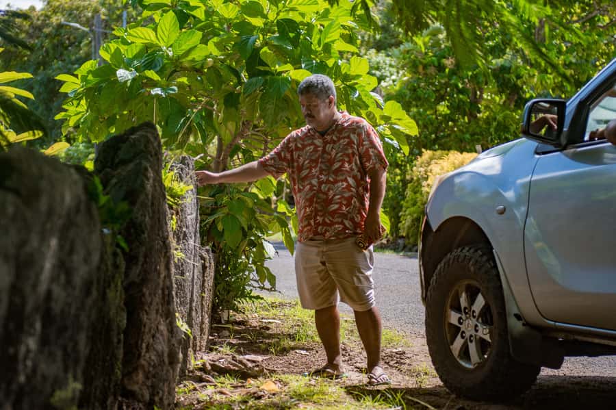 Bora Bora: 4WD History & Culture Tour - WWII sites and the walk to the cannons