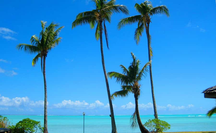 Bora Bora: 4x4 Safari with Snorkelling Combo Tour - The short river boat ride and the shift in pace