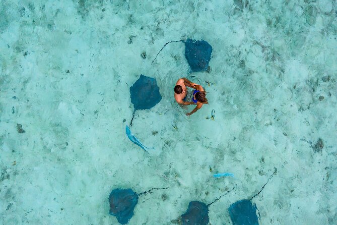 Bora Bora adventure Private Combo Jet Ski and Eco Sharks Snorkel - A full day on Bora Bora’s lagoon