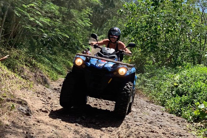 Bora Bora Atv-Quad Tours - Is $229.08 good value?