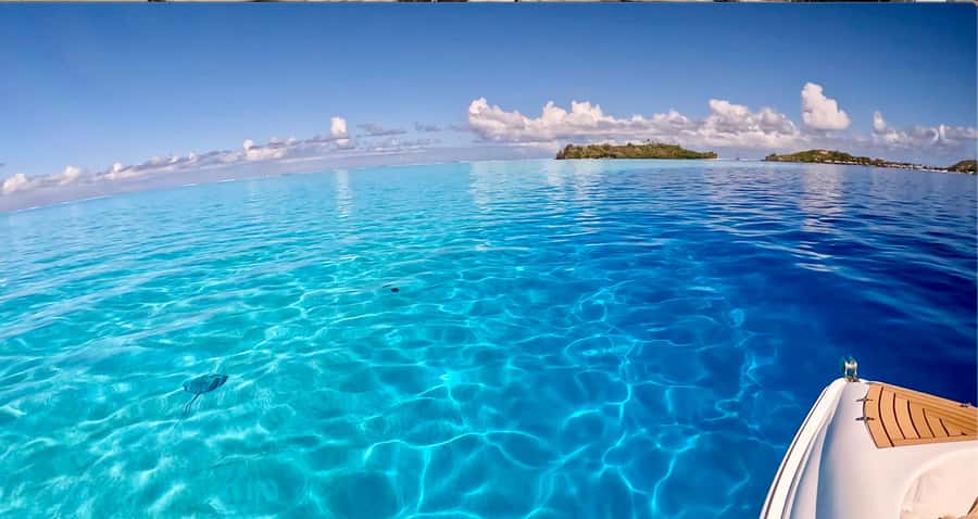 Bora Bora: Blue Lagoon Cruise, Snorkeling and Lunch . - The crew and the feel of the outing