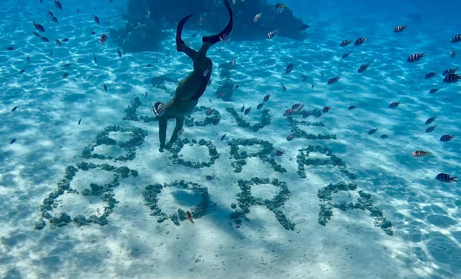 Bora Bora: Blue Lagoon Cruise, Snorkeling and Lunch . - What to pack for a better day