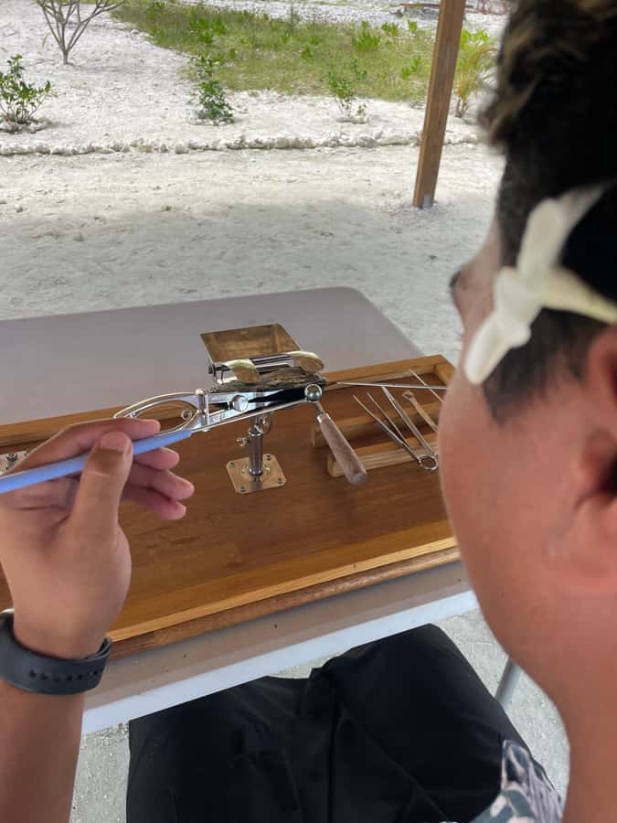 Bora Bora: Discovering the Tahitian black pearl ! - Why the Tahitian black pearl matters