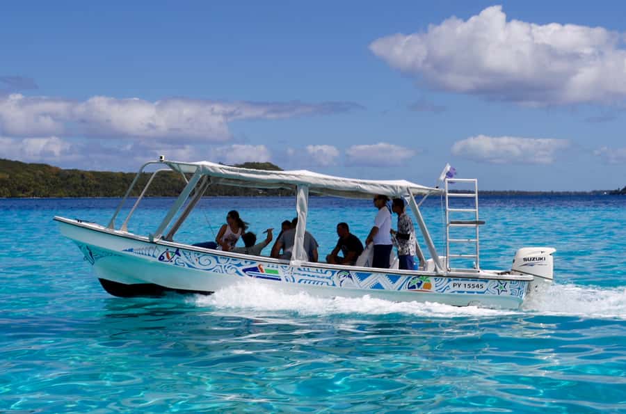 Bora Bora: Eco Shark and Snorkeling Safari - Guides who add calm, safety, and local character
