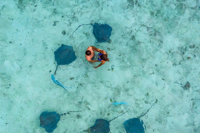 Bora Bora Eco Snorkel Cruise Including Snorkeling with Sharks and Stingrays - Why This Short Bora Bora Cruise Works So Well