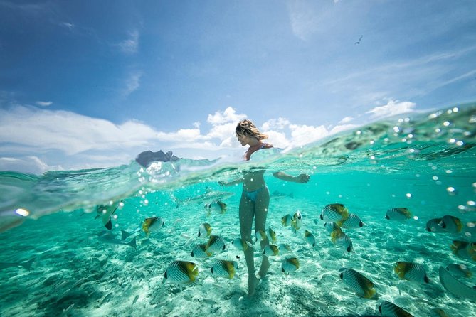 Bora Bora Eco Snorkel Cruise Including Snorkeling with Sharks and Stingrays - Who Should Book This Lagoon Adventure?