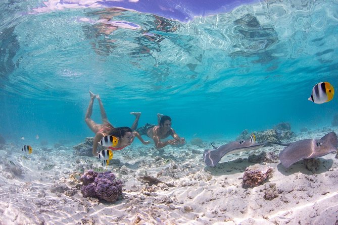 Bora Bora Eco Snorkel Cruise Including Snorkeling with Sharks and Stingrays - The Coral Garden: Fish, Clams, and Reef Color
