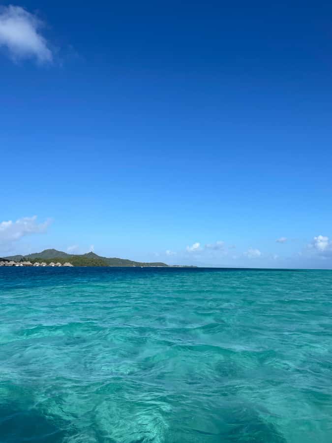 Bora Bora: Full day Lagoon Safari & Lunch on a Motu - ST - Guide quality, music, and personal attention
