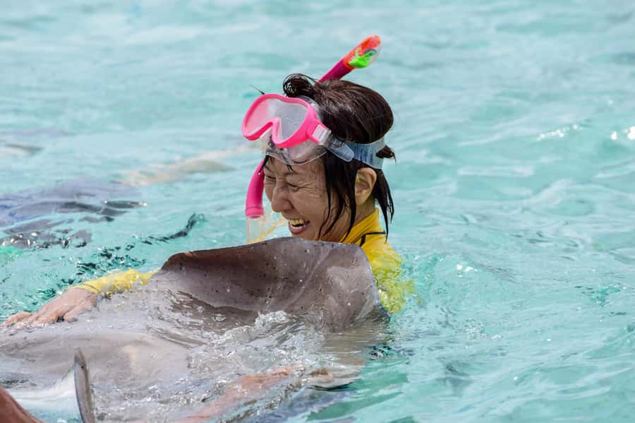 Bora Bora: Full-Day Lagoon Snorkelling Tour - Key points to know before booking