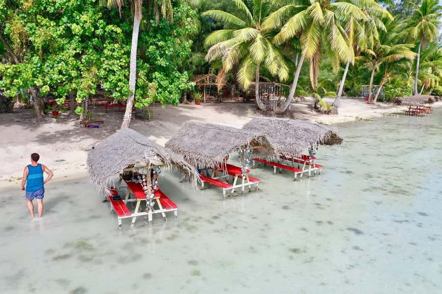 Bora Bora: Full-Day Lagoon Snorkelling Tour - The coral garden and its colorful fish