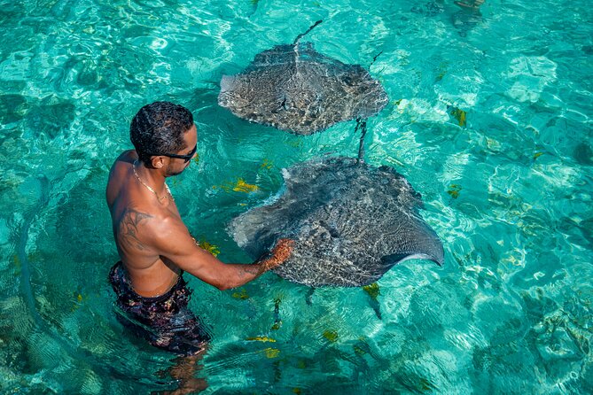 Bora Bora Full Day Snorkeling with Lunch - Four stops across Bora Bora’s lagoon