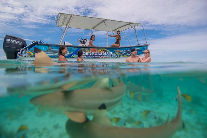 Bora Bora Full Day Snorkeling with Lunch - The guides are a major part of the value
