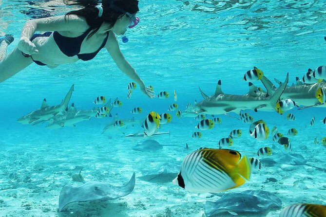 Bora Bora Full Day Snorkeling with Lunch - Who will enjoy this full-day outing most