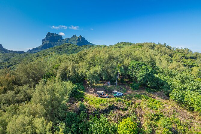 Bora Bora Half Day 4X4 Island Safari Tours - Who Should Book This Island Safari?