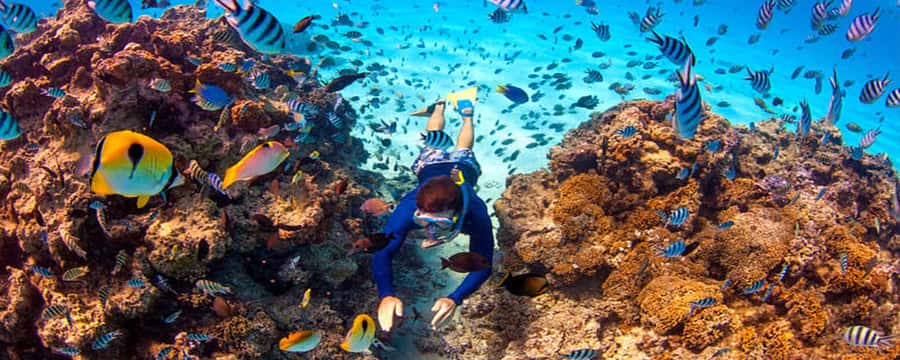 Bora Bora: Half Day Catamaran Sailing & Snorkelling - Why this catamaran trip feels different