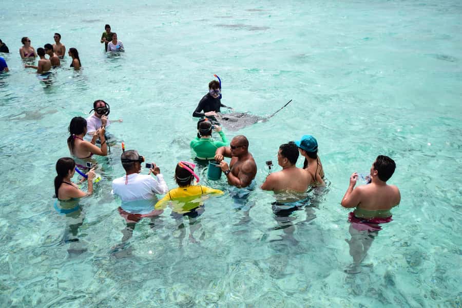 Bora Bora: Half-Day Lagoon Snorkelling Tour - Why this three-hour Bora Bora outing works