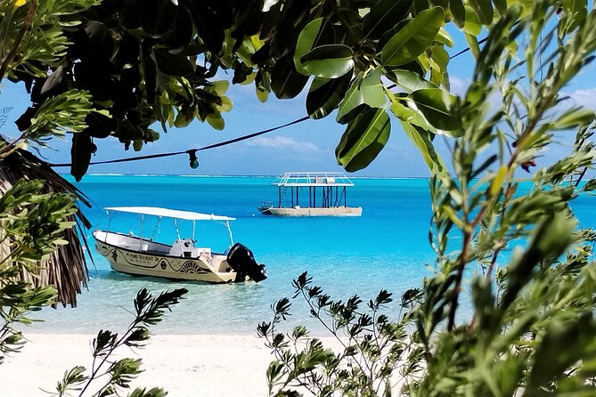 Bora Bora Half Day Snorkeling - Manta rays, sharks, and stingrays