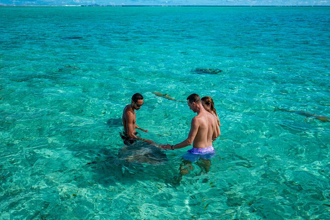 Bora Bora Half Day Snorkeling - Group size, guiding, and comfort