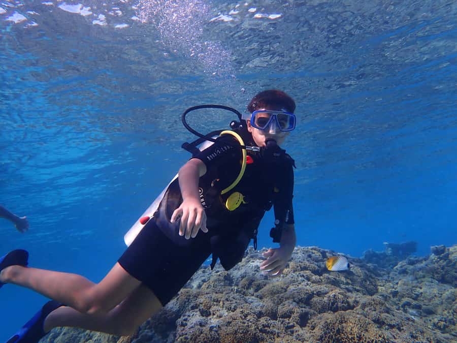 Bora Bora: Introductory Dive - Key points to know before booking