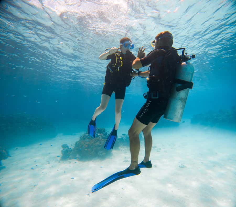Bora Bora: Introductory Dive - Starting with pickup and a short briefing