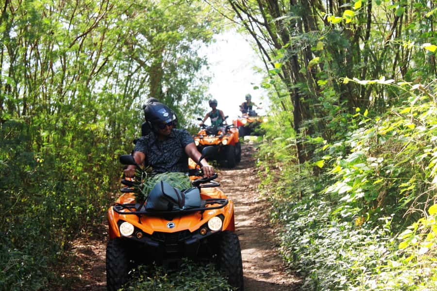 Bora Bora: Island Tour and Mountains Getaway by Quad Bike - Anau rock and the Mount Otemanu view