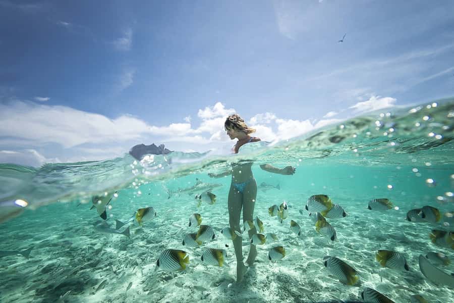 Bora Bora: Jet Ski, Lunch & Shark/ Ray Safari - Riding past Mount Otemanu and the motus