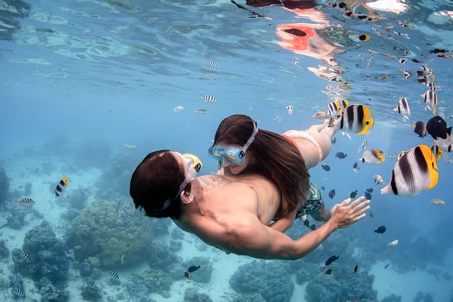 Bora Bora: Jet Ski, Lunch & Shark/ Ray Safari - Searching the shallow lagoon for sharks and rays