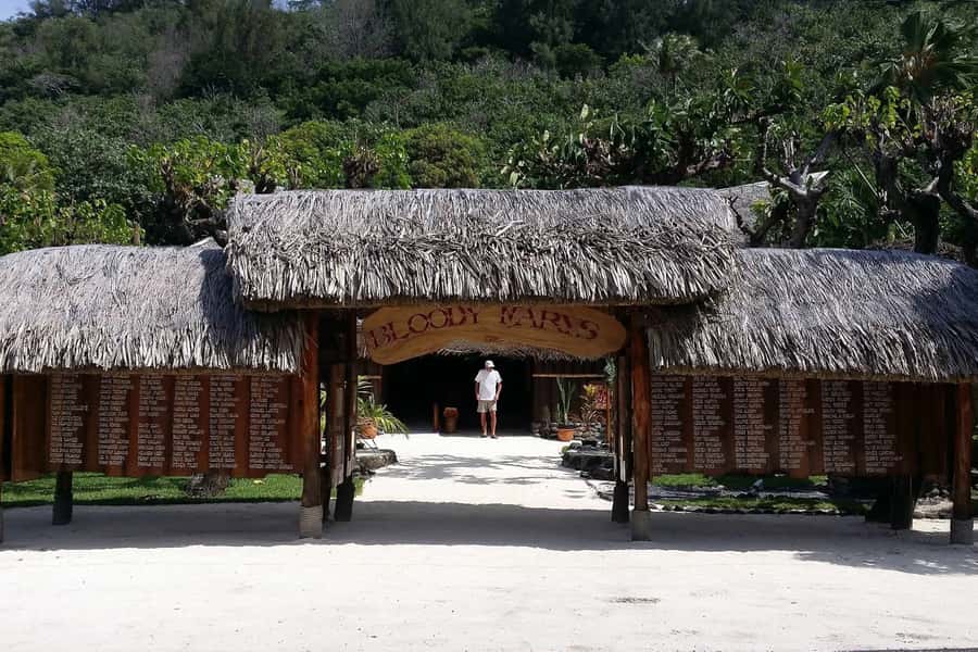 Bora Bora: Jet Ski, Lunch & Shark/ Ray Safari - Language, group size, and practical fit