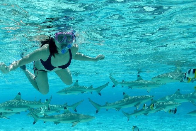 Bora Bora Jet Ski Tour, & Eco Shark / Ray Snorkel Cruise - Guides can shape the entire day