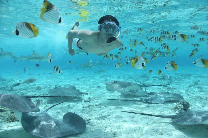 Bora Bora Jet Ski Tour, & Eco Shark / Ray Snorkel Cruise - How safe and accessible is the snorkeling?