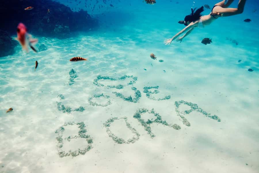 Bora Bora: Lagoon Tour and Snorkeling Experience - Three water stops, three different sides of Bora Bora