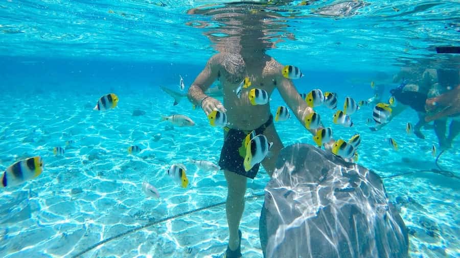Bora Bora: Lagoon Tour and Snorkeling Experience - The sandbank finish with Mount Otemanu in view