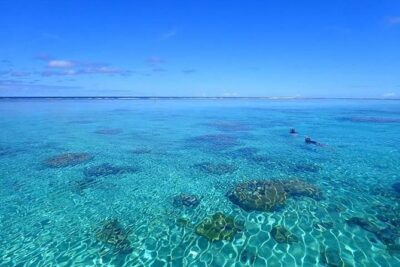 Luxury Private Half Day Snorkeling Tour