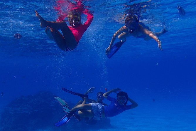 Bora Bora: Luxury Private Half Day Snorkeling Tour - Equipment, towels, drinks, and snacks